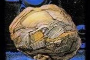 трійка пентакль таро трійка пентакль таро
